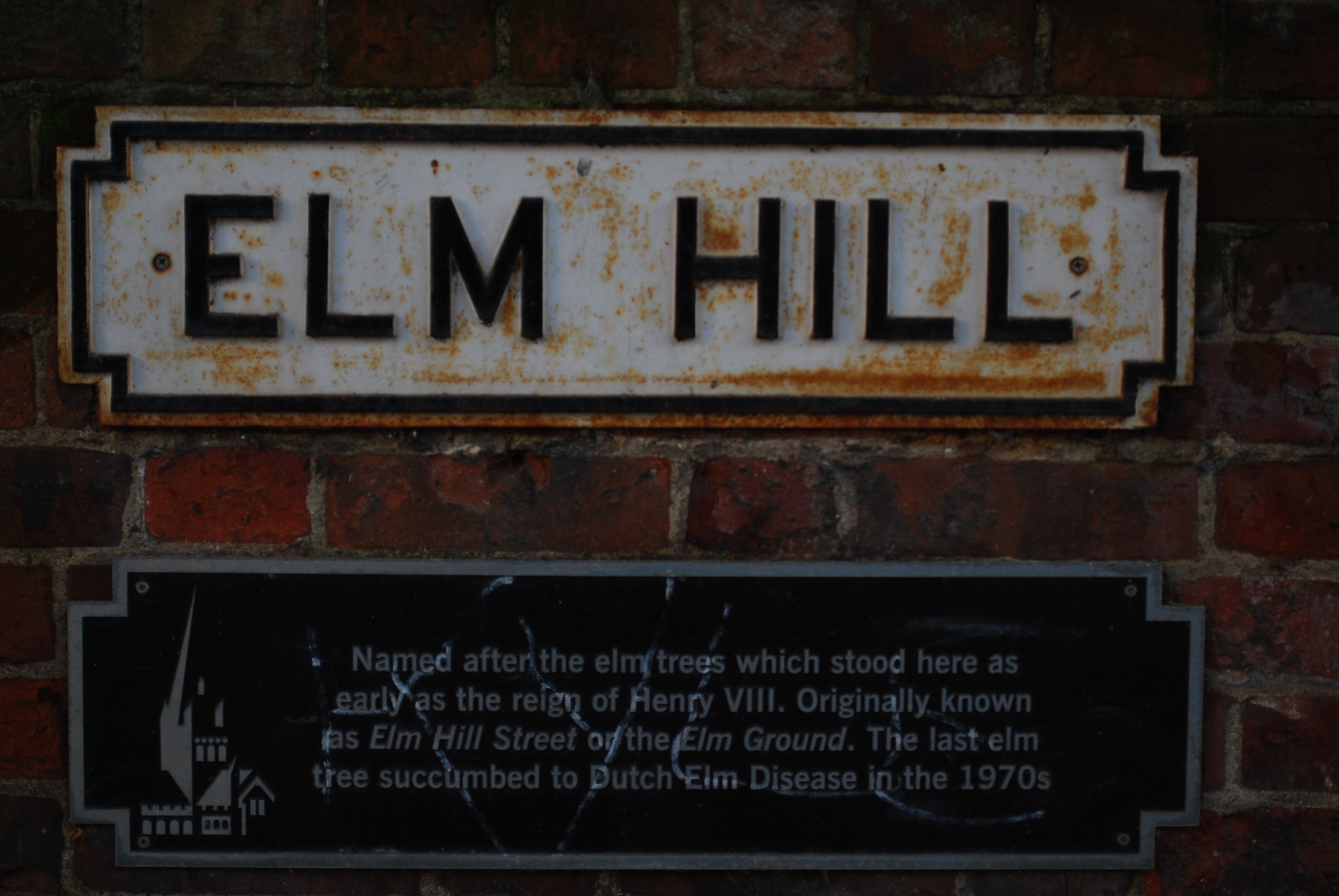 elm hill road sign Sunflower Seed Spirituality